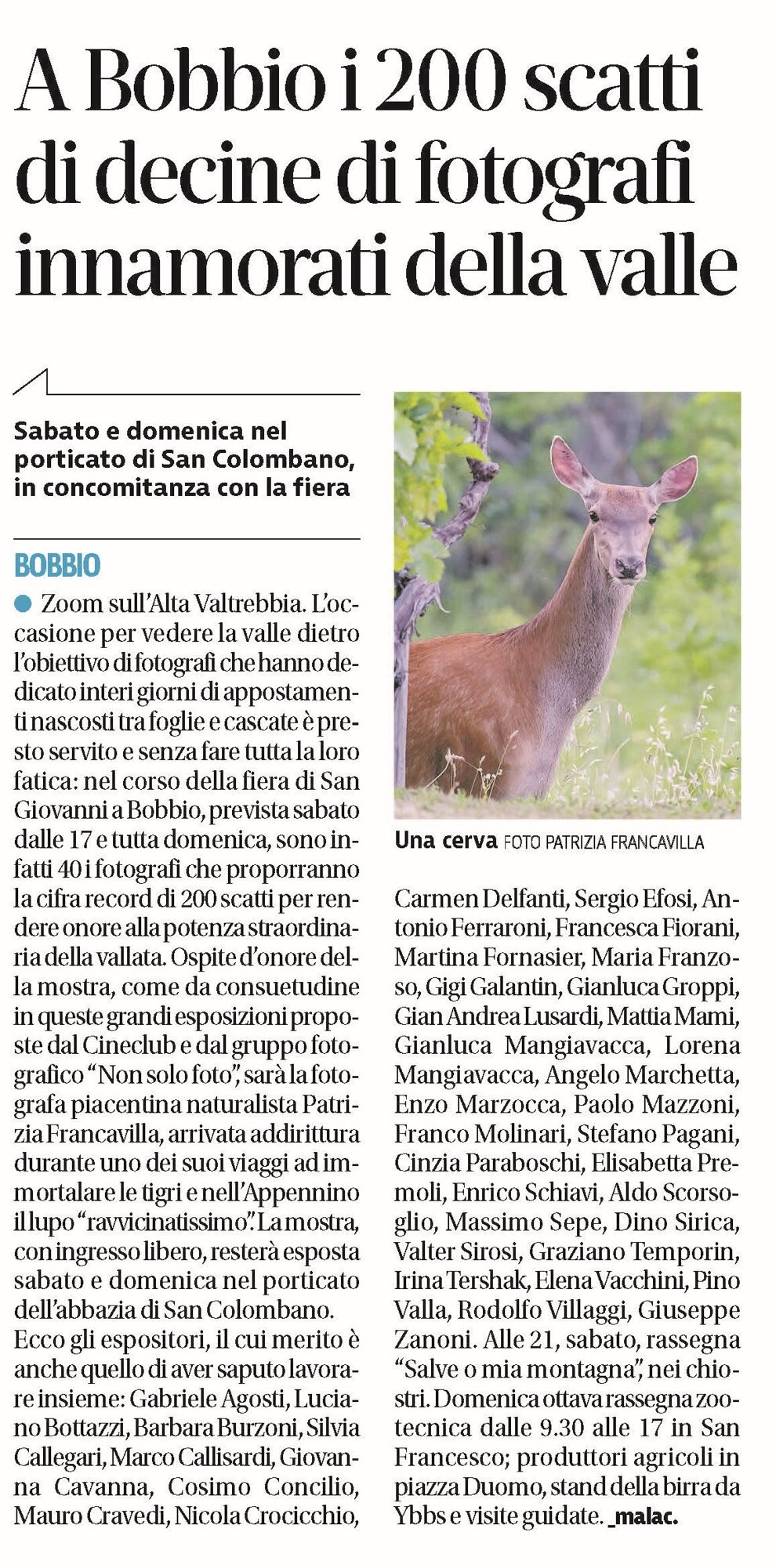 bobbio mostralibert_20250619_26.jpeg