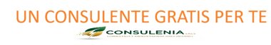 consulente.jpeg