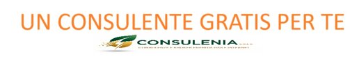consulente.jpeg