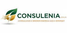 logo consulenia sito.jpeg