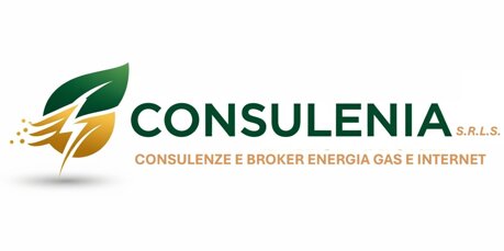 logo consulenia sito.jpeg