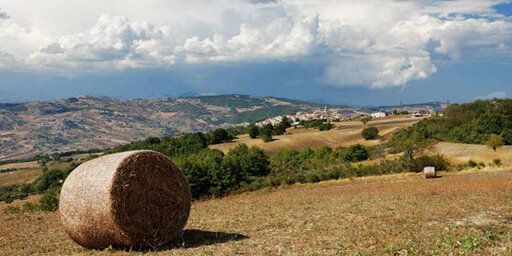 molise_-_tratturi.jpeg