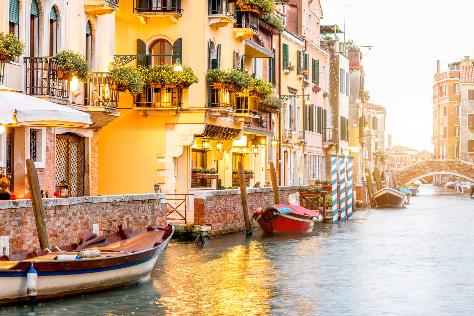 adobestock_118926470.jpeg adobestock_118926470.jpeg