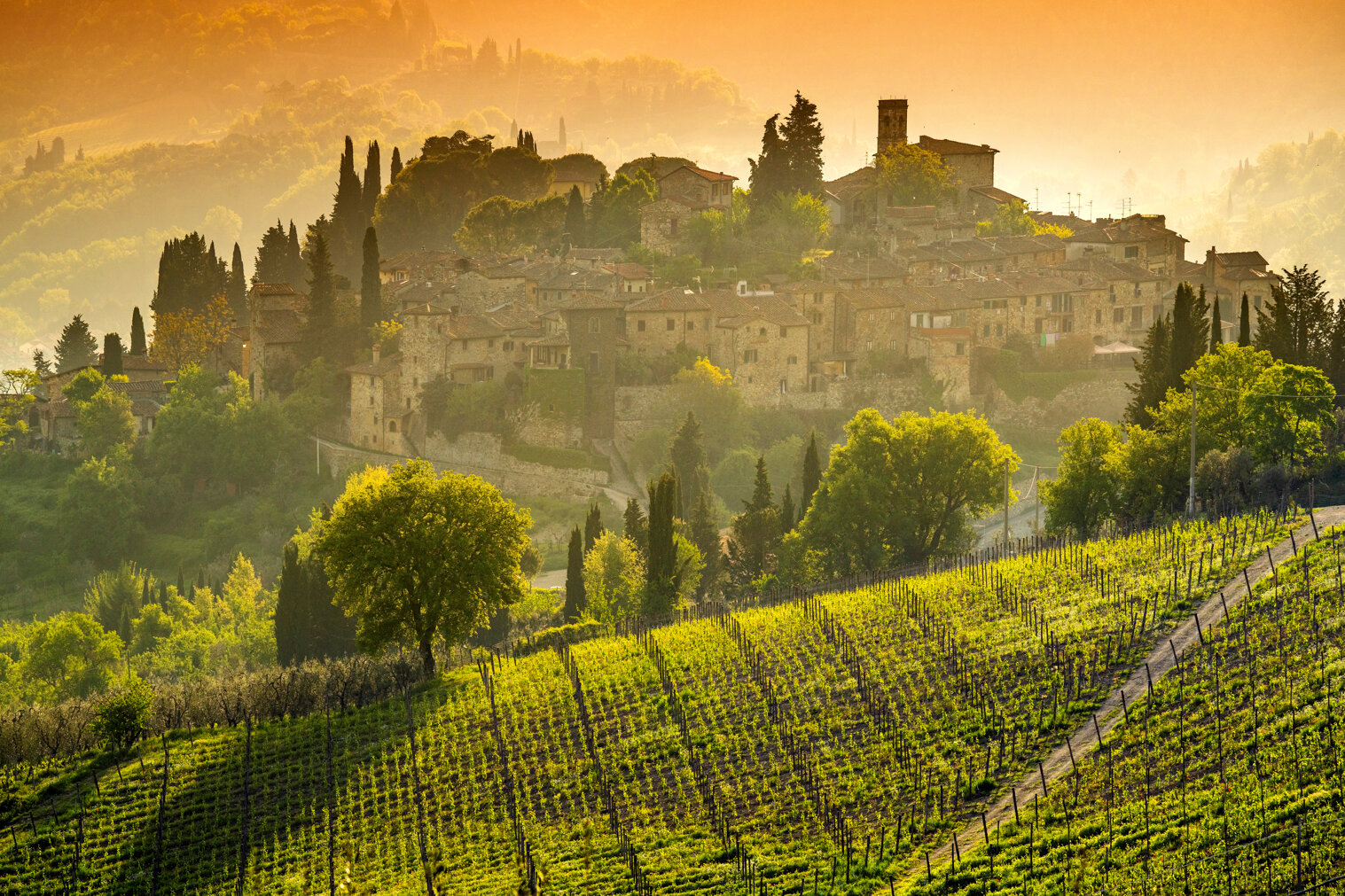 adobestock_665746854.jpeg adobestock_665746854.jpeg