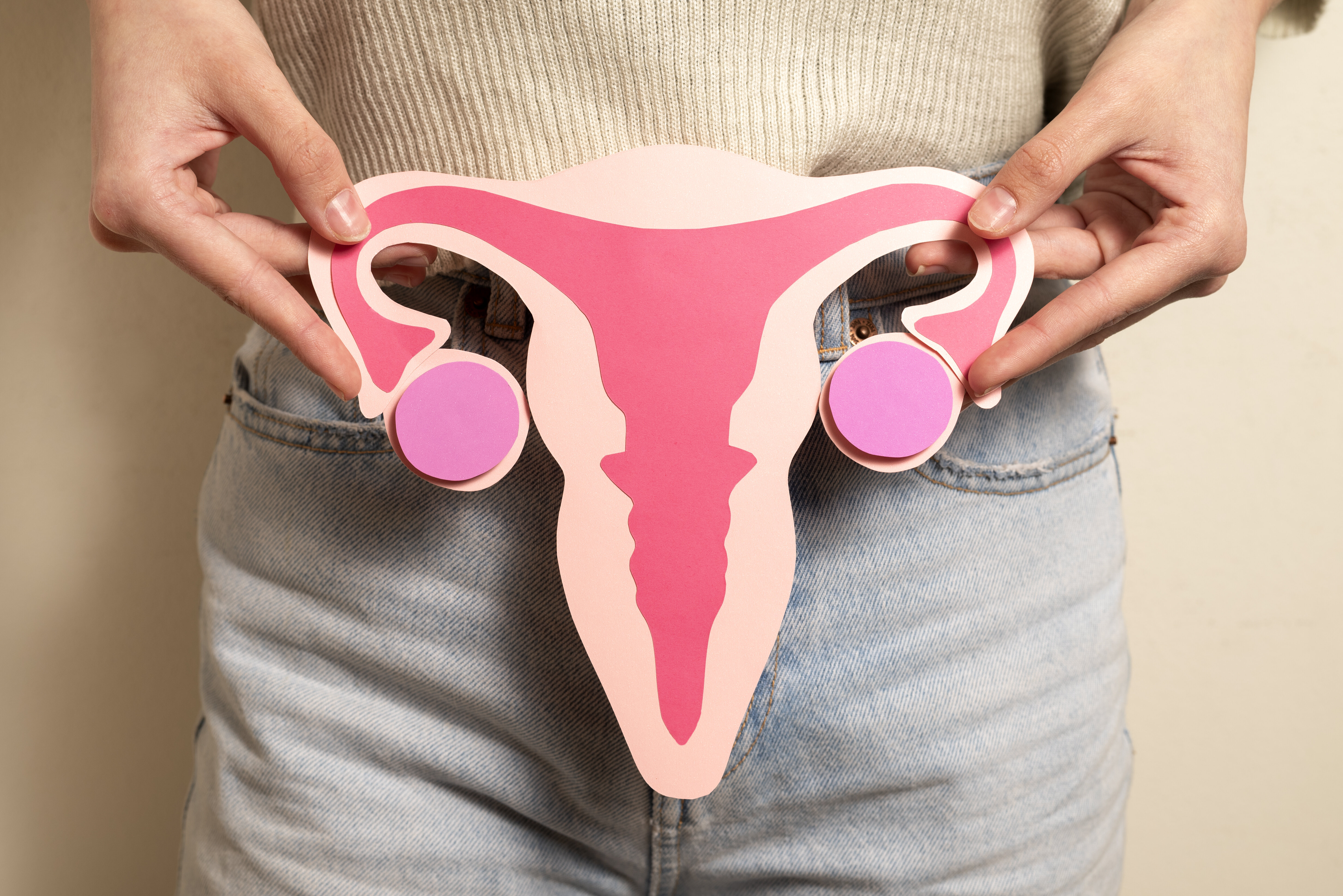 front-view-woman-holding-reproductive-system.jpeg front-view-woman-holding-reproductive-system.jpeg