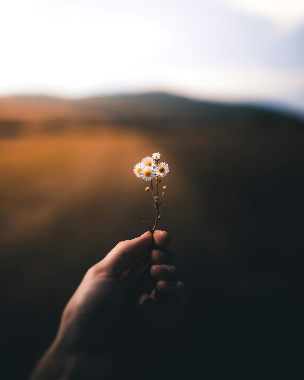 taneli-lahtinen-m6k4wgeqoq4-unsplash.jpeg