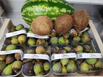 42157ba5ddb9d99fab5abbd42d931ae900b8adc1