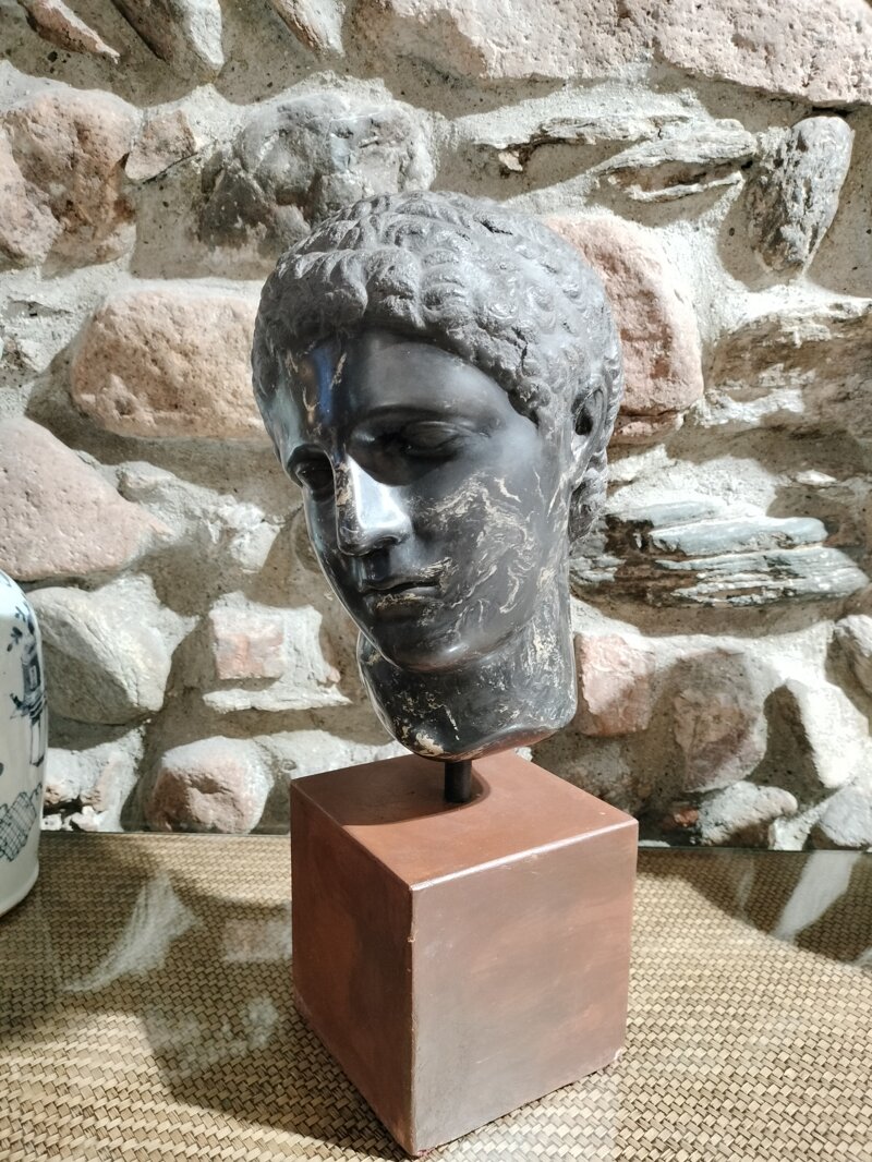 magnifica-testa-in-marmo