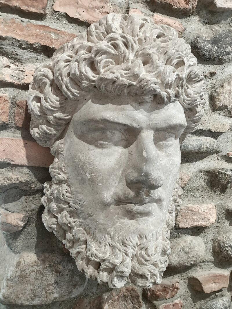 testa-in-gesso