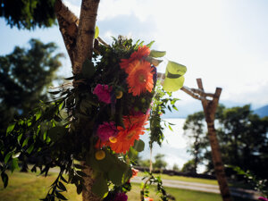 _dsc0324.jpeg _dsc0324.jpeg