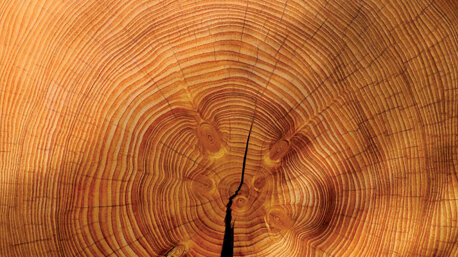 0ea02473d0a6321e2851be2eec833fc45943b520