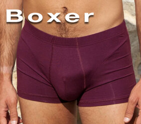 5dd4310e-894a-4a5c-9122-c8d900e03b4e