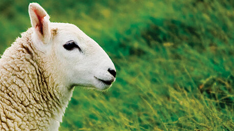 2d3d6a0c1d682eccde86496296eebd174e53029b