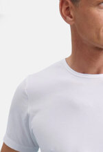t-shirt-uomo-in-faggio