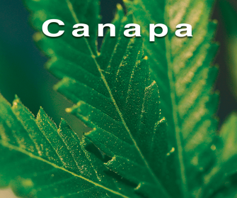 9425581bf15e54aecc8ac9de44f1c344717f7321