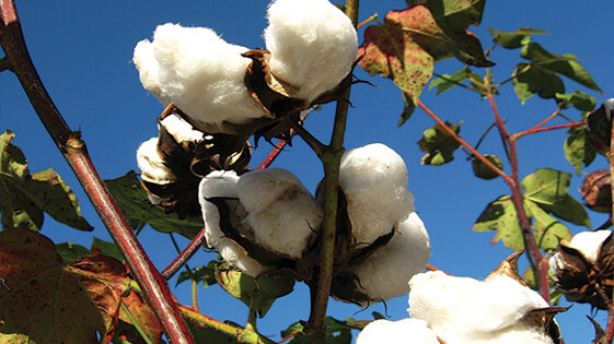 03d68b02-94ec-4675-9472-1296b7e0a18d