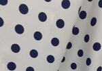 dante-c0010-pallino-blu
