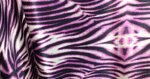 dante-s0049-zebra-fuxia
