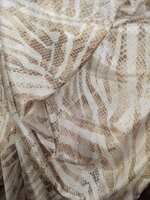 dante-s0044-voal-pitone