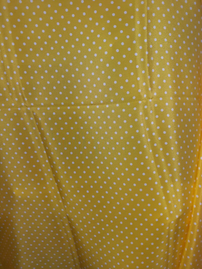 dante-s0037-pallino-giallo