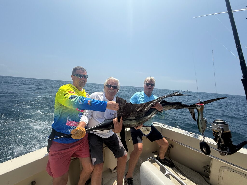 img_3435.jpeg img_3435.jpeg