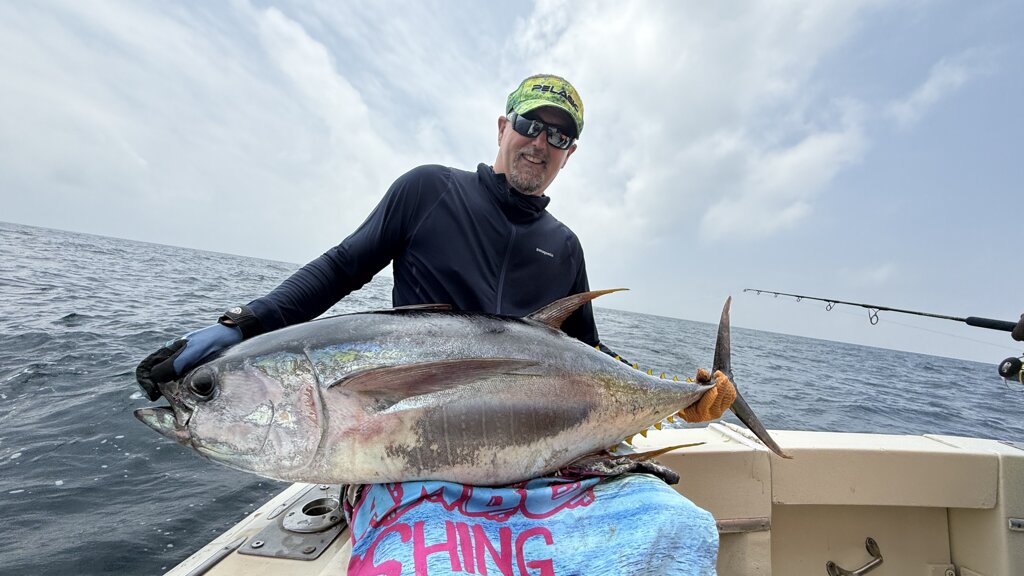 img_3379.jpeg img_3379.jpeg