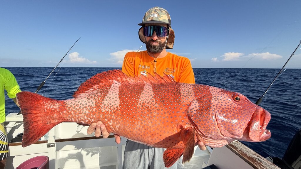 94789b3c-48f8-4ab7-83a1-dcc894ae5bd7_1_105_c.jpeg 94789b3c-48f8-4ab7-83a1-dcc894ae5bd7_1_105_c.jpeg