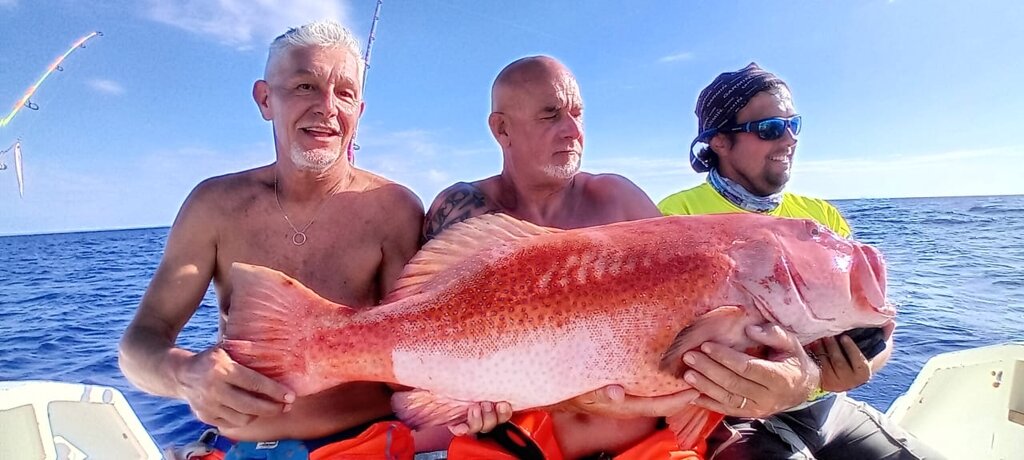 aba655d2-9d95-4e1b-a510-1340ae120171_1_105_c.jpeg aba655d2-9d95-4e1b-a510-1340ae120171_1_105_c.jpeg