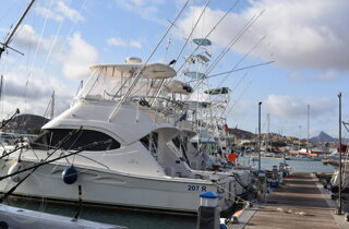 schermata-2023-12-17-alle-13.18.32