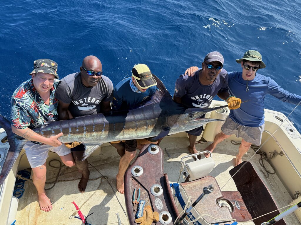 img_3596.jpeg img_3596.jpeg