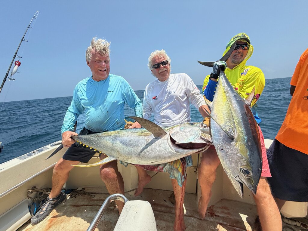 img_3478.jpeg img_3478.jpeg