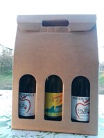 0b2-scatola-3-bottiglie-succhi