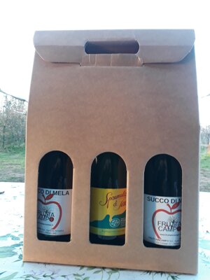 0b2-scatola-3-bottiglie-succhi