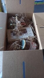 0s3-scatola-degustazione