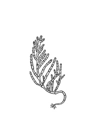 09ff52a8b35de4f71e1d5ed0775bd4f3de423f51 09ff52a8b35de4f71e1d5ed0775bd4f3de423f51