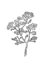 1320d28151340102f32aba62a7e4bfec1eefdacb 1320d28151340102f32aba62a7e4bfec1eefdacb