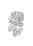 2448a527d4a1547528e0e3d0512e6f5754740788 2448a527d4a1547528e0e3d0512e6f5754740788