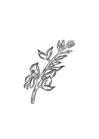 2ce5289cf598a019f35b1a62602797140505c678 2ce5289cf598a019f35b1a62602797140505c678