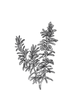 59d842dc5a6719b6e24ce247e52a62a122f34078 59d842dc5a6719b6e24ce247e52a62a122f34078