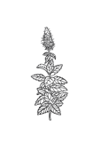 85658a60-711b-4b1d-a0d8-5a2aaa310fa6 85658a60-711b-4b1d-a0d8-5a2aaa310fa6