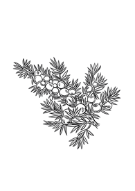 bcb09e1107c2bb26974a7ca8a0506c964888d530 bcb09e1107c2bb26974a7ca8a0506c964888d530