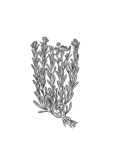 eaadafd3f691e88a324612f90e5fa62b6676a34c eaadafd3f691e88a324612f90e5fa62b6676a34c