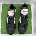 barbagrigia-tg39-cod-520