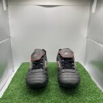 barbagrigia-tg33-cod60