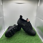 barbagrigia-tg31-cod40