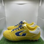 gems-tg40-cod220