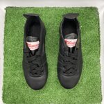 barbagrigia-tg31-cod439