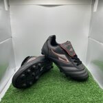 barbagrigia-tg33-cod60