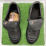 leosport-tg39cod193