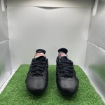 barbagrigia-tg31-cod40